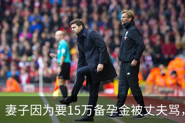 妻子因为要15万备孕金被丈夫骂，要起诉离婚，网友不解：备孕为什么要15万？