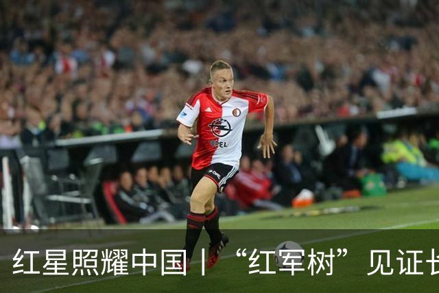 红星照耀中国丨“红军树”见证长征路